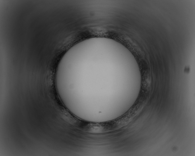 X0000102820658200809081132