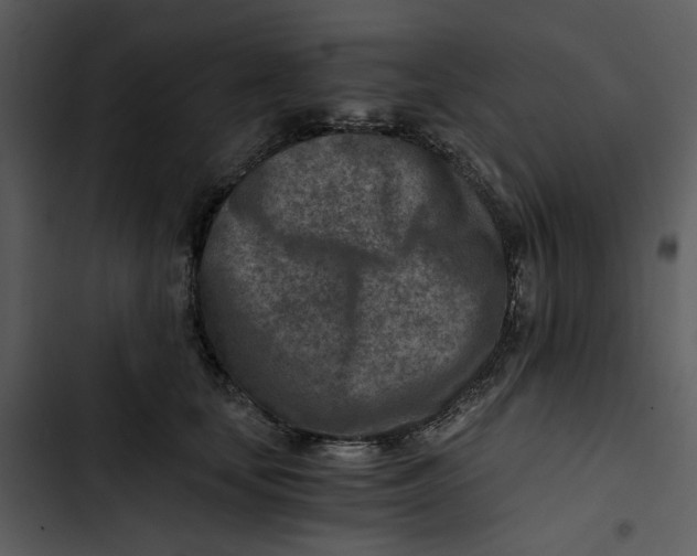 X0000102820659200809081132