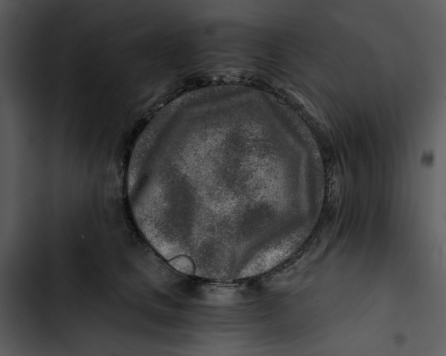 X0000102820661200809081132