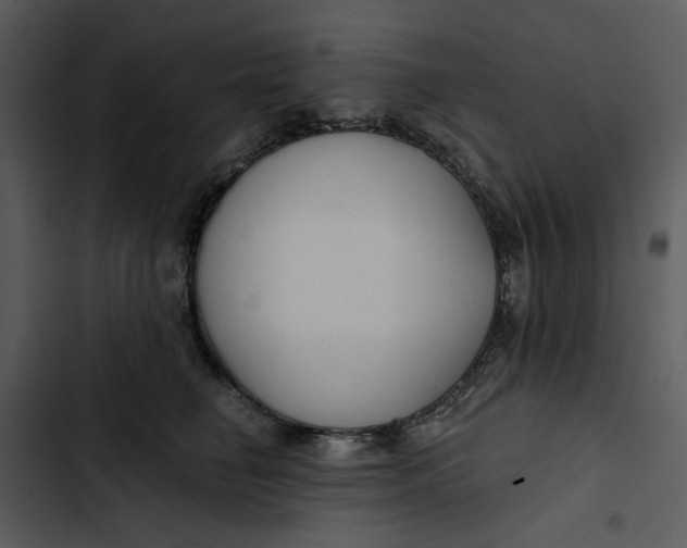 X0000102820662200809081132