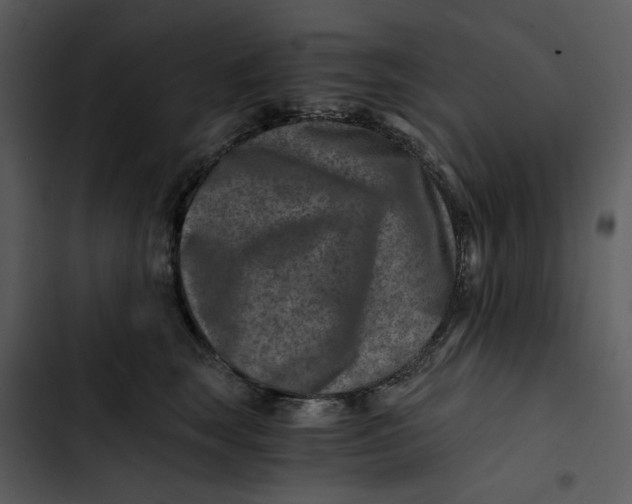 X0000102820663200809081132