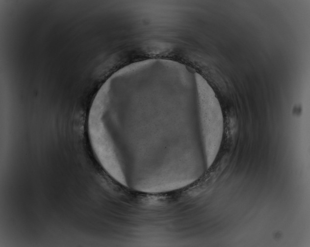 X0000102820664200809081132