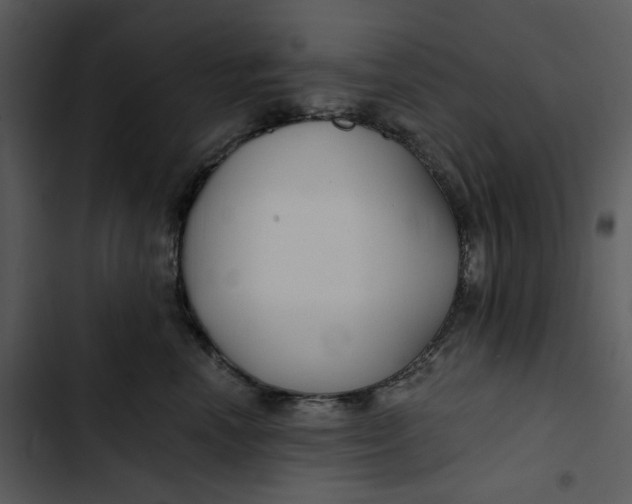 X0000102820666200809081132