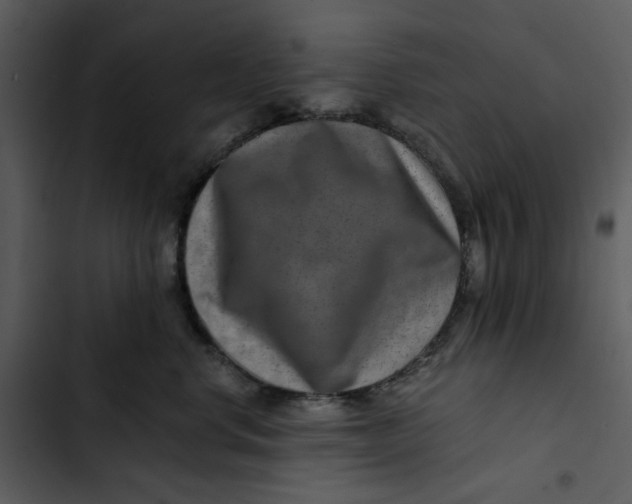 X0000102820668200809081132