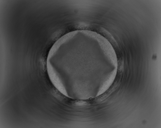 X0000102820669200809081132