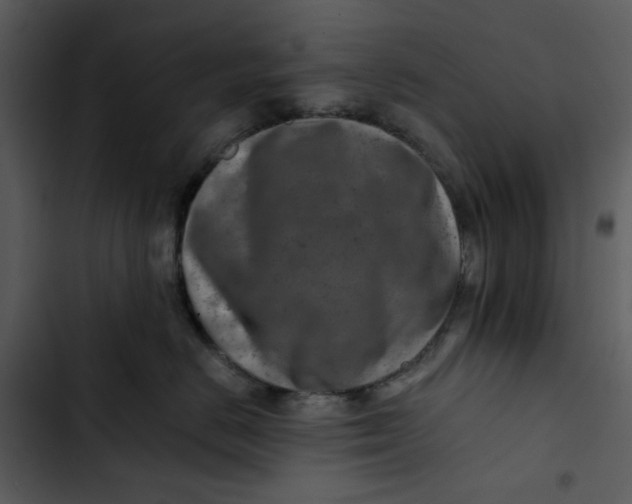 X0000102820670200809081132