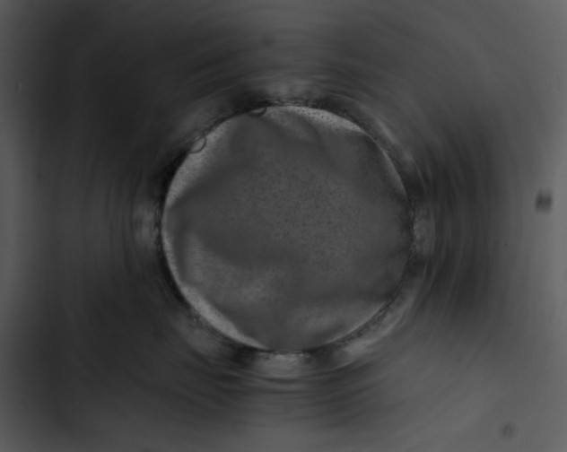 X0000102820671200809081132