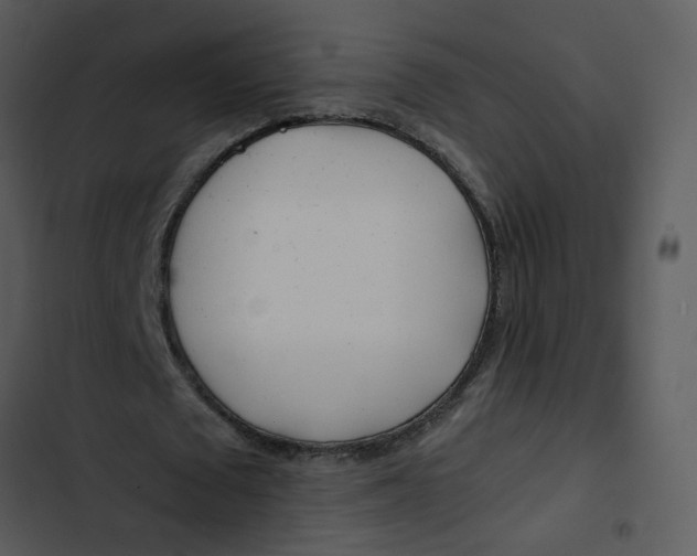 X0000102820673200809081131