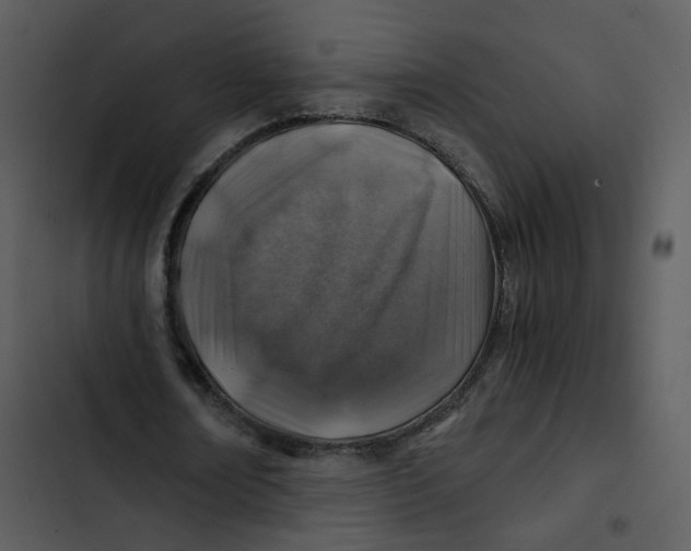 X0000102820674200809081131