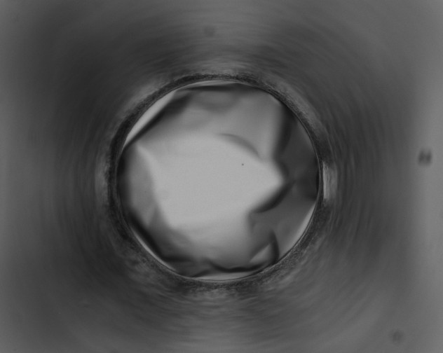 X0000102820675200809081131