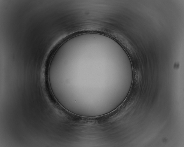 X0000102820676200809081131