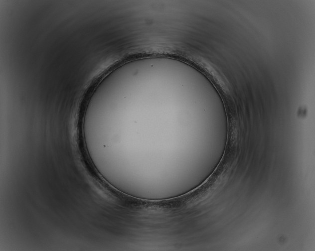 X0000102820677200809081131