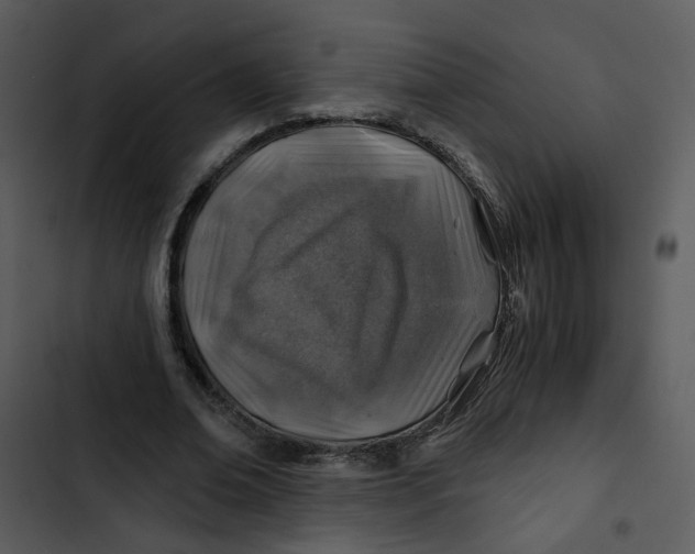 X0000102820678200809081131