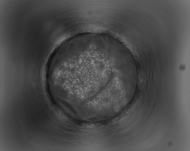 X0000102820679200809081131