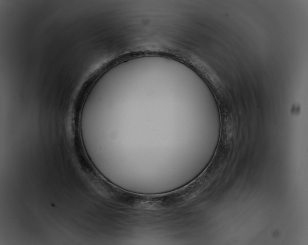 X0000102820680200809081131