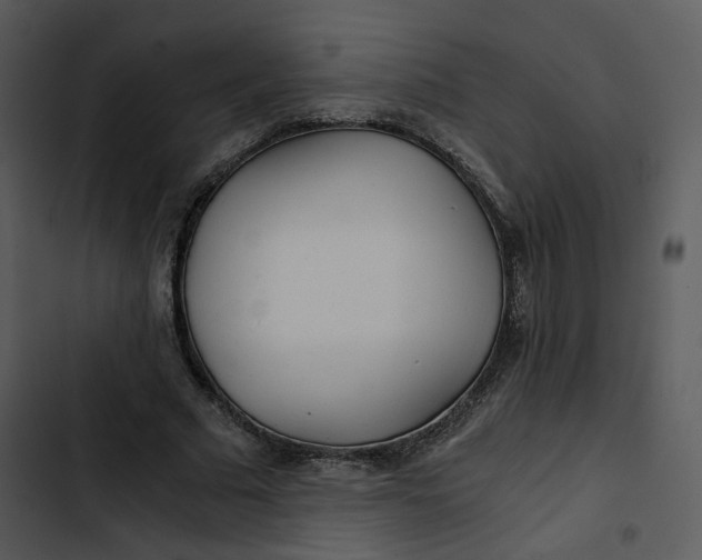 X0000102820681200809081131