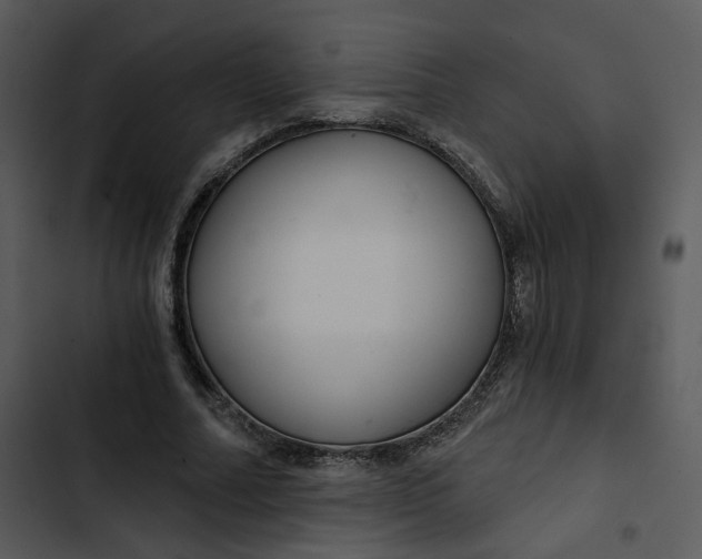 X0000102820682200809081131