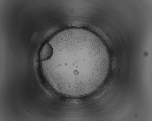 X0000102820683200809081131