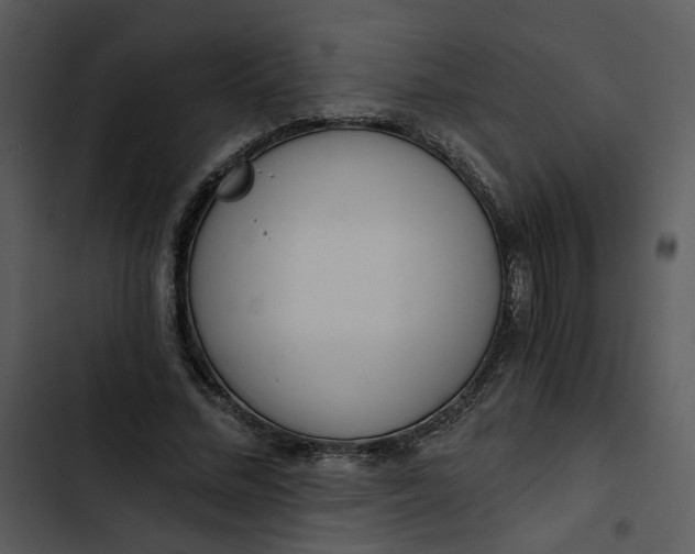 X0000102820684200809081131