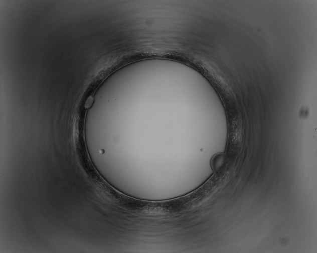 X0000102820685200809081131