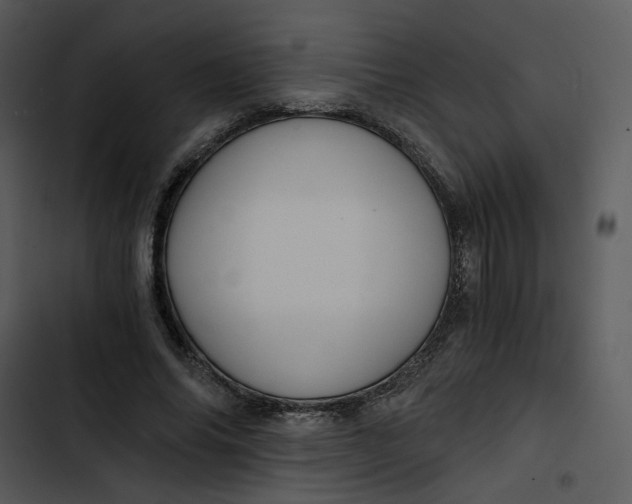 X0000102820686200809081131