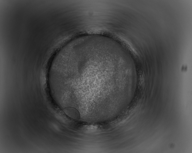 X0000102820687200809081131