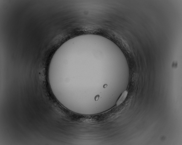 X0000102820689200809081131