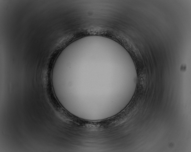 X0000102820690200809081131