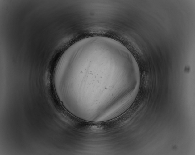 X0000102820692200809081131