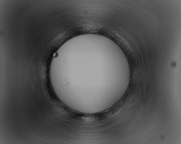 X0000102820693200809081131