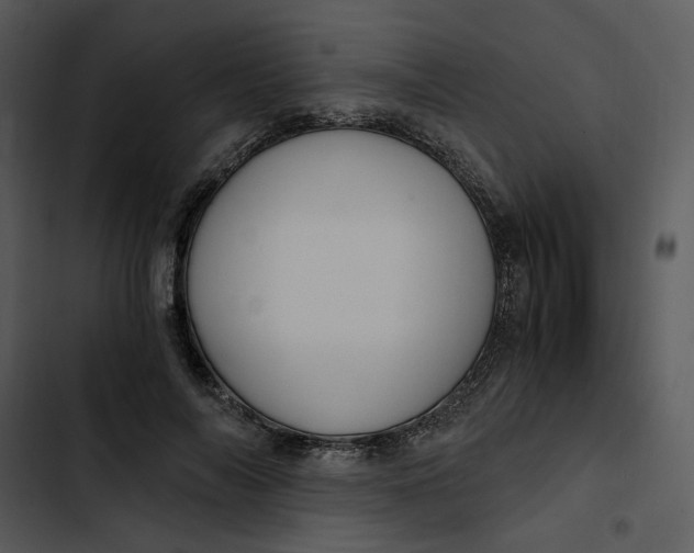 X0000102820694200809081131