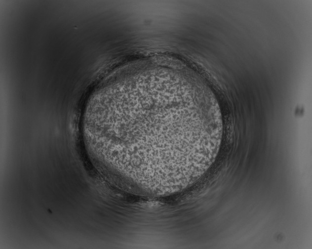 X0000102820695200809081131