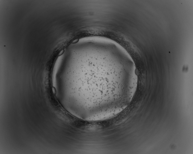 X0000102820696200809081131