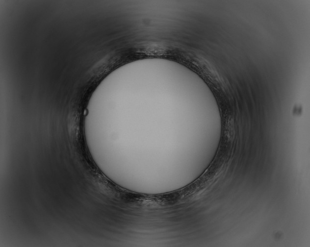 X0000102820697200809081131