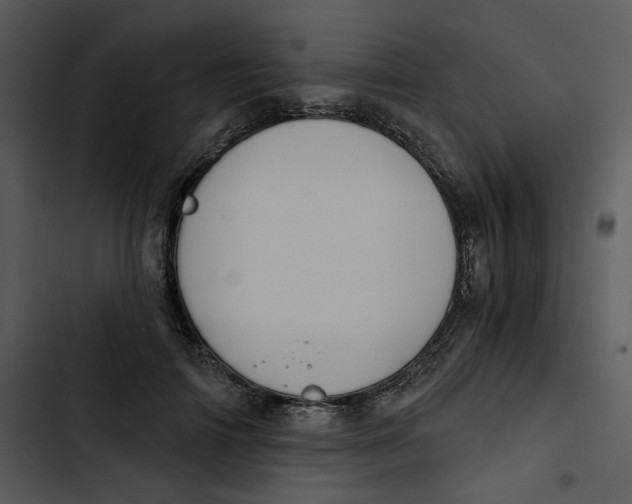 X0000102820698200809081131