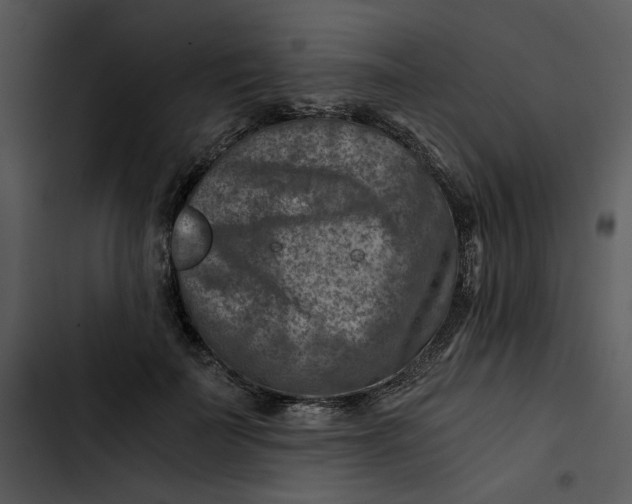 X0000102820699200809081131