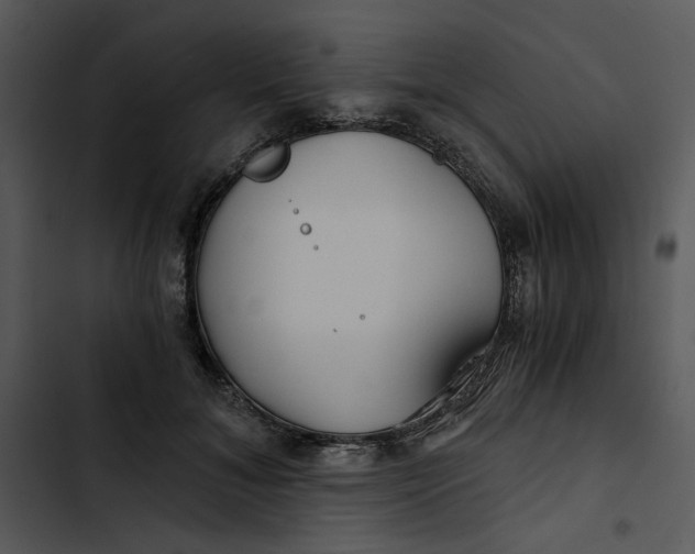 X0000102820700200809081131