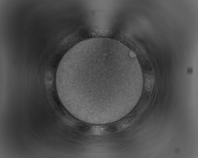 X0000102820701200809081131