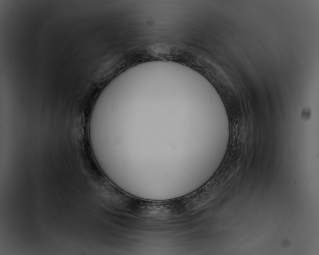 X0000102820702200809081131