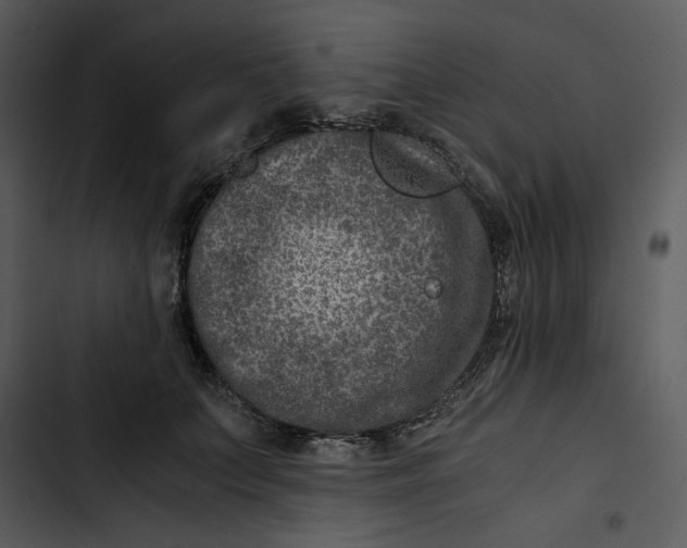 X0000102820703200809081131