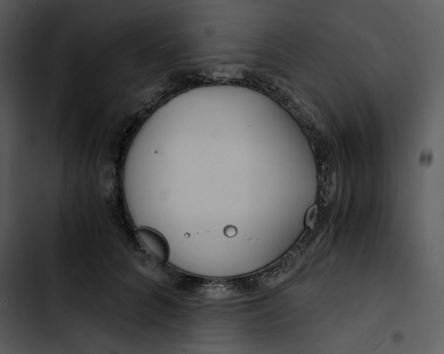 X0000102820704200809081131