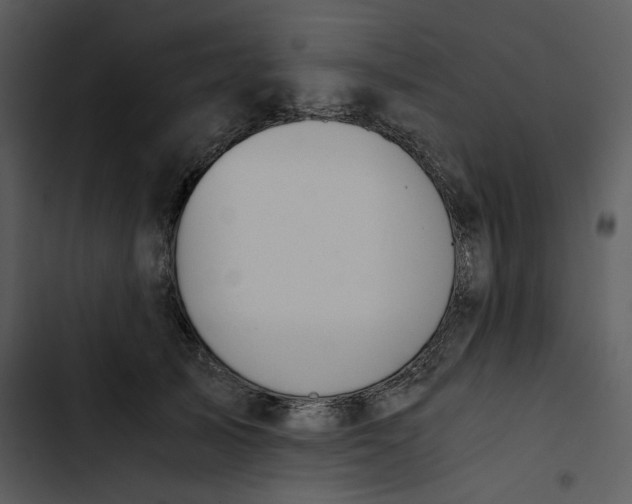 X0000102820705200809081131