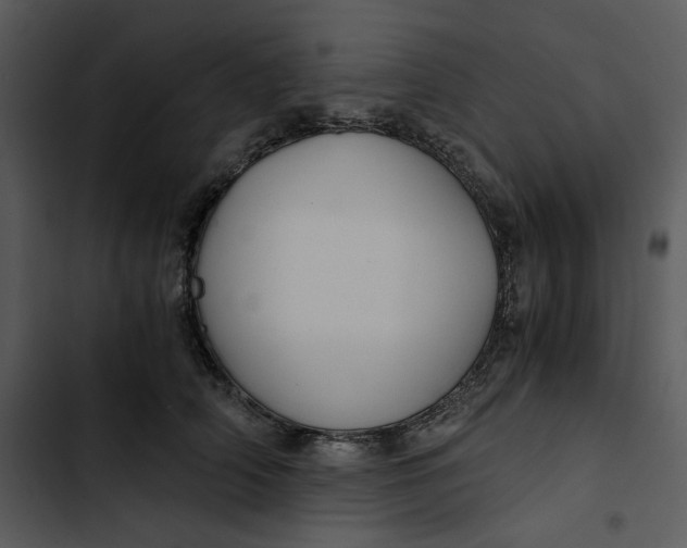 X0000102820706200809081131