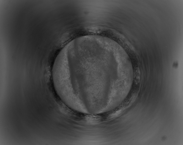 X0000102820707200809081131