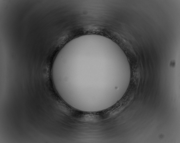 X0000102820708200809081131