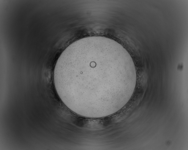 X0000102820709200809081131