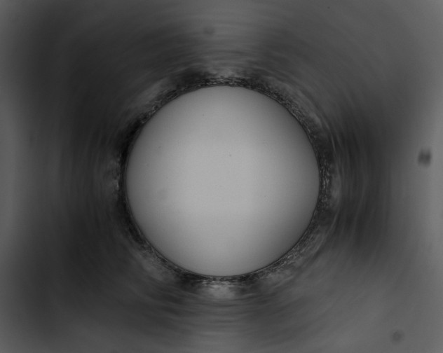 X0000102820710200809081131