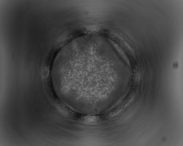 X0000102820711200809081131