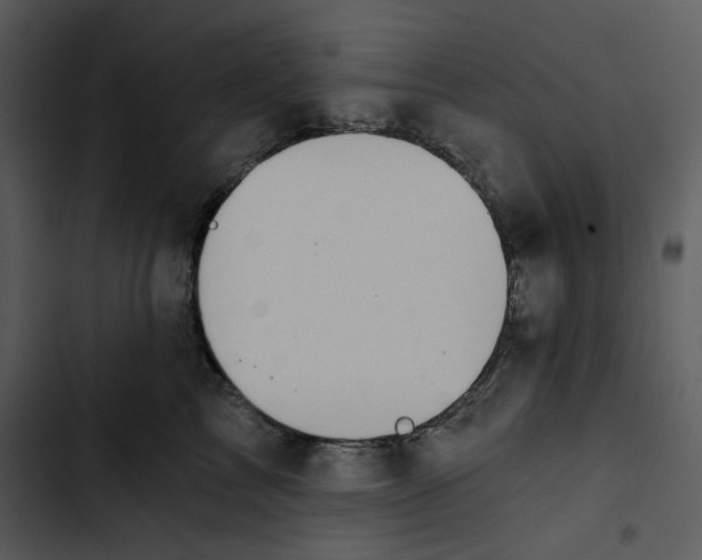 X0000102820713200809081131