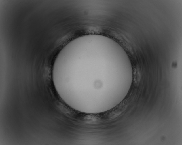 X0000102820714200809081131